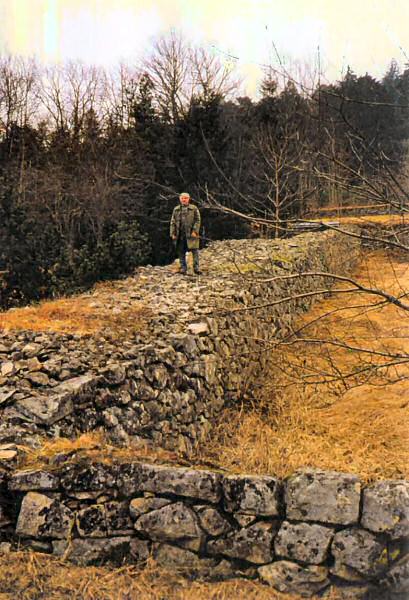 Des murs de regroupement de dimensions impressionnantes, jusqu'Ã  4 x 2,5 mÃ¨tres !