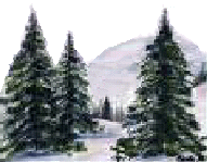 Paysage sapins et neige